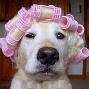 Meet your Posher, Pam.